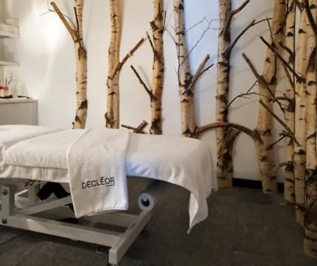 Montreux Chalet Apartment *