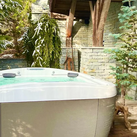 Montreux Chalet Διαμέρισμα Μοντρέ